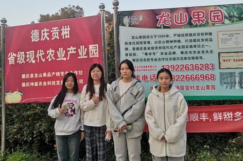 赛前现场调研.jpg