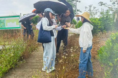在茶山特色种植基地与茶农交流.jpg 在茶山特色种植基地与茶农交流.jpg
